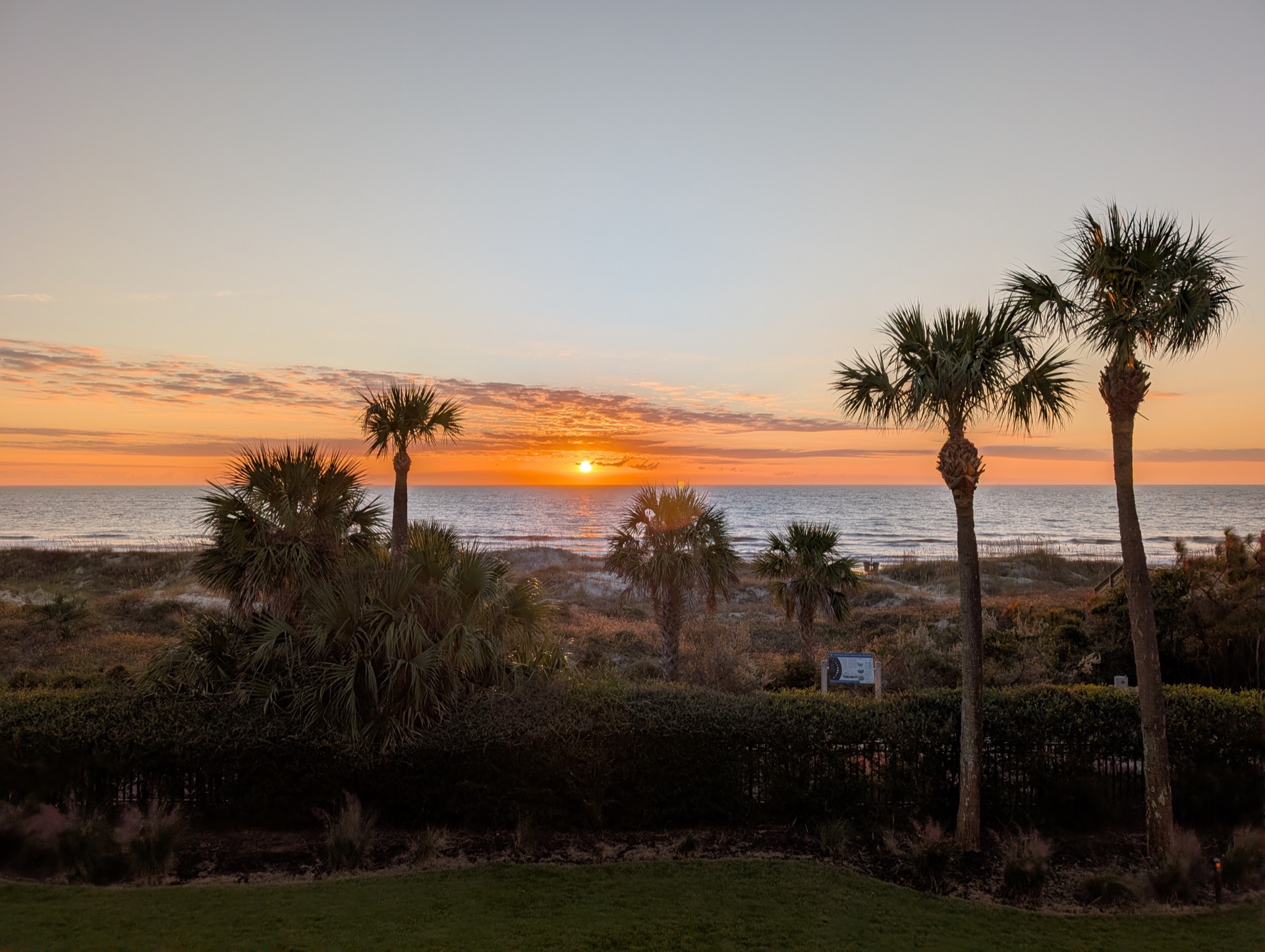 Sunrise over the Atlantic Ocean framed by palm trees and dune vegetation along Amelia Island's coast