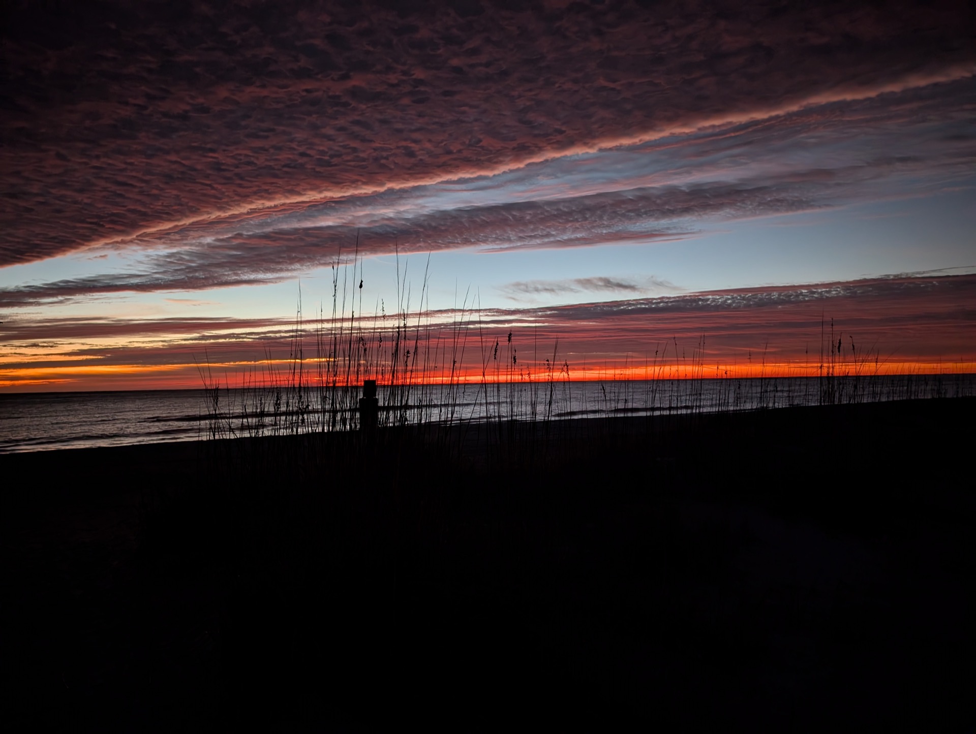 Dramatic sunset sky with bands of orange and purple behind silhouetted sea oats on Amelia Island beach