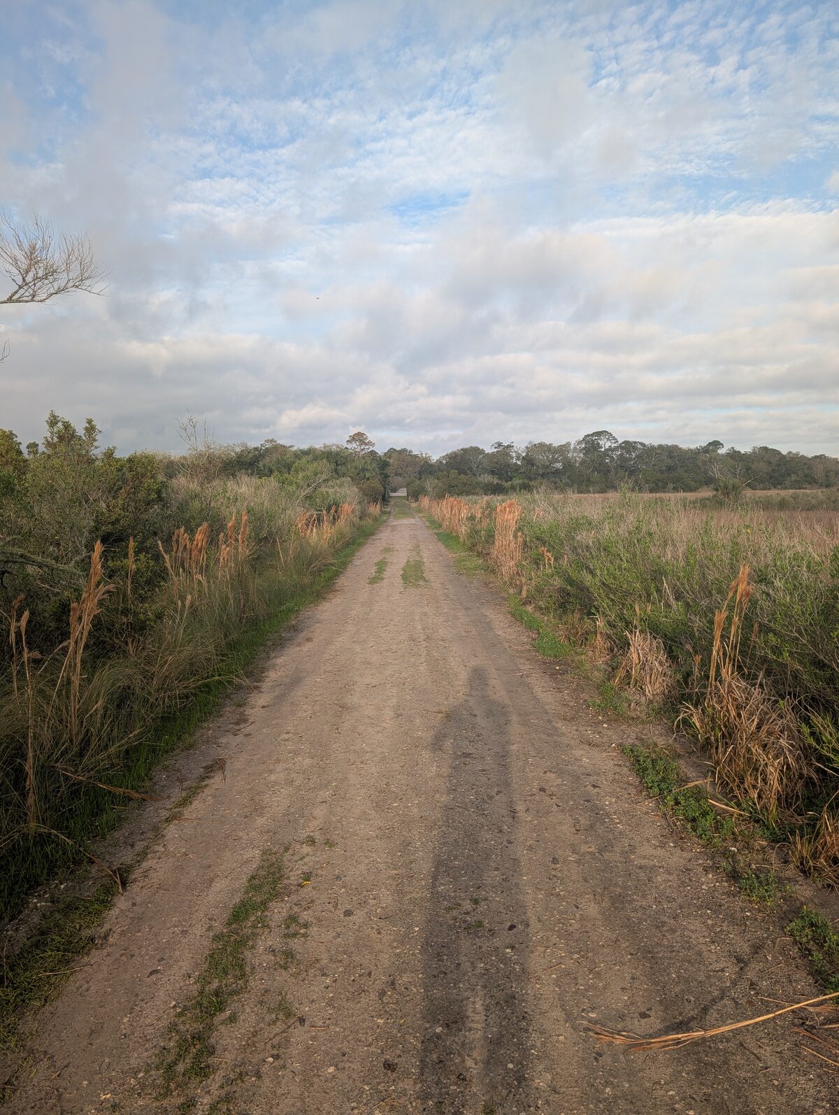 Dirt path through the open marsh section of the greenway