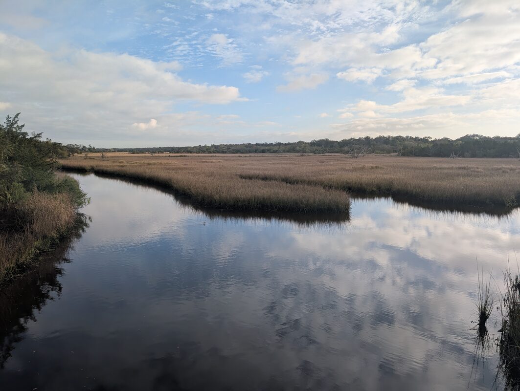 Egans Creek tidal marsh with cloud reflections on a calm morning
