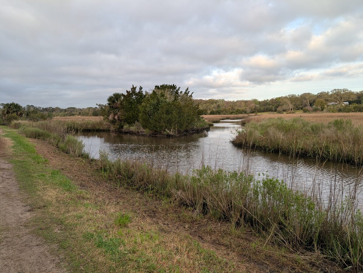 Trail running alongside Egans Creek under live oaks