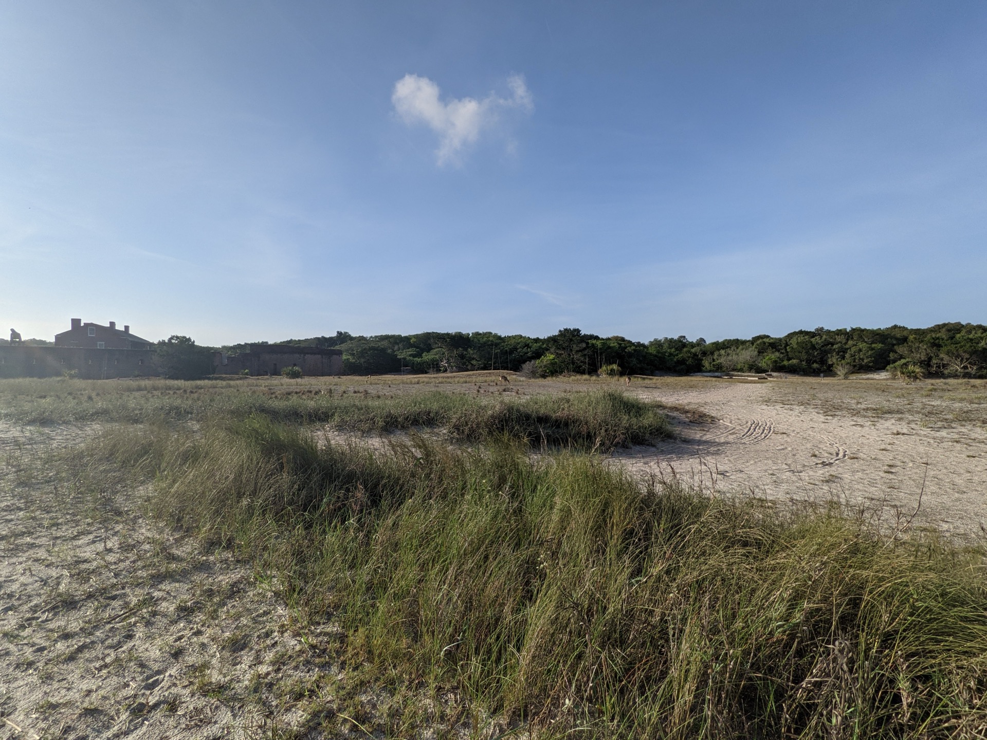 Coastal dunes and sea grass with Fort Clinch visible in the background